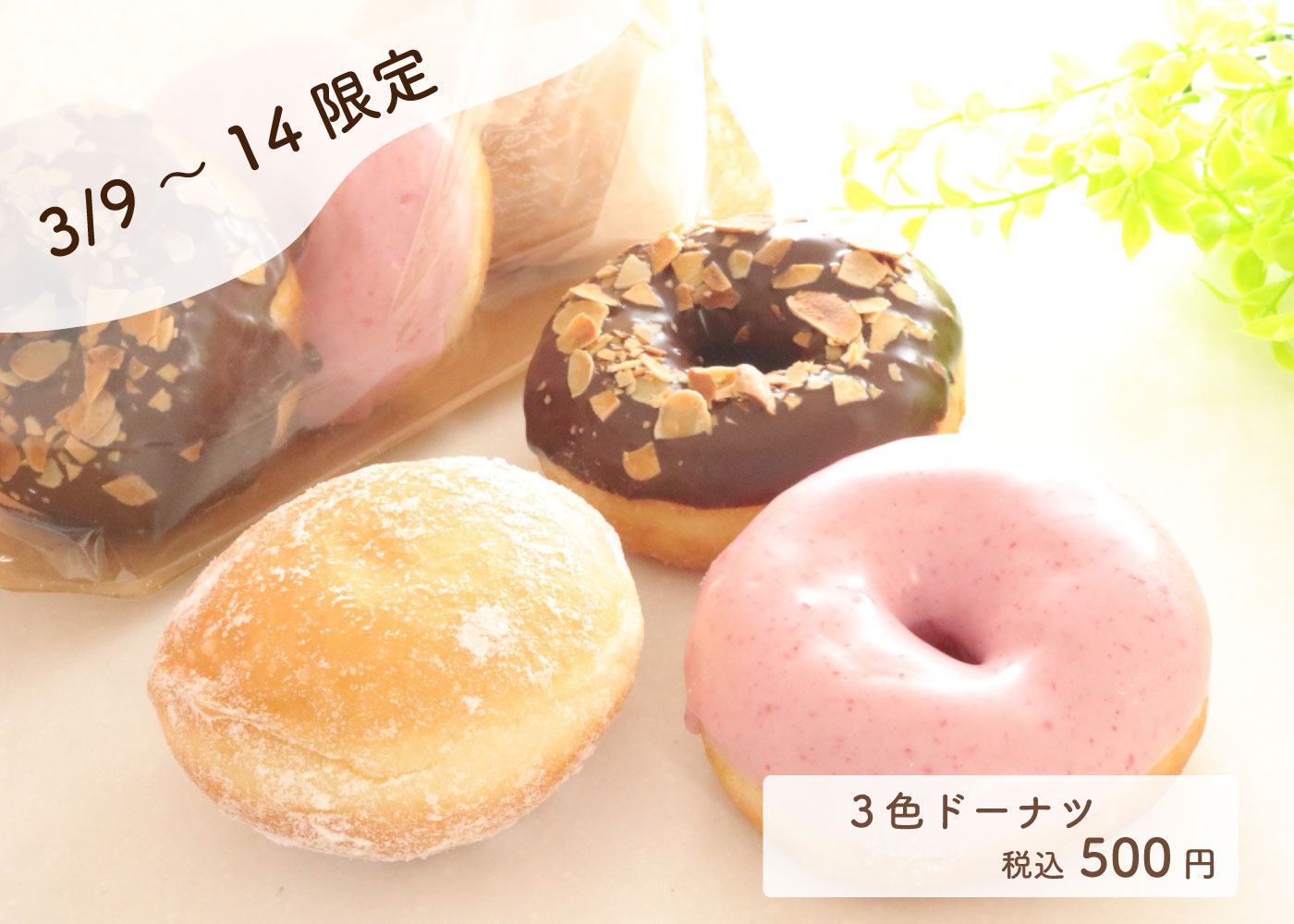 期間限定】『3色ドーナツ🍩』※3/9～14まで | Blog | 三陸菓匠さいとう