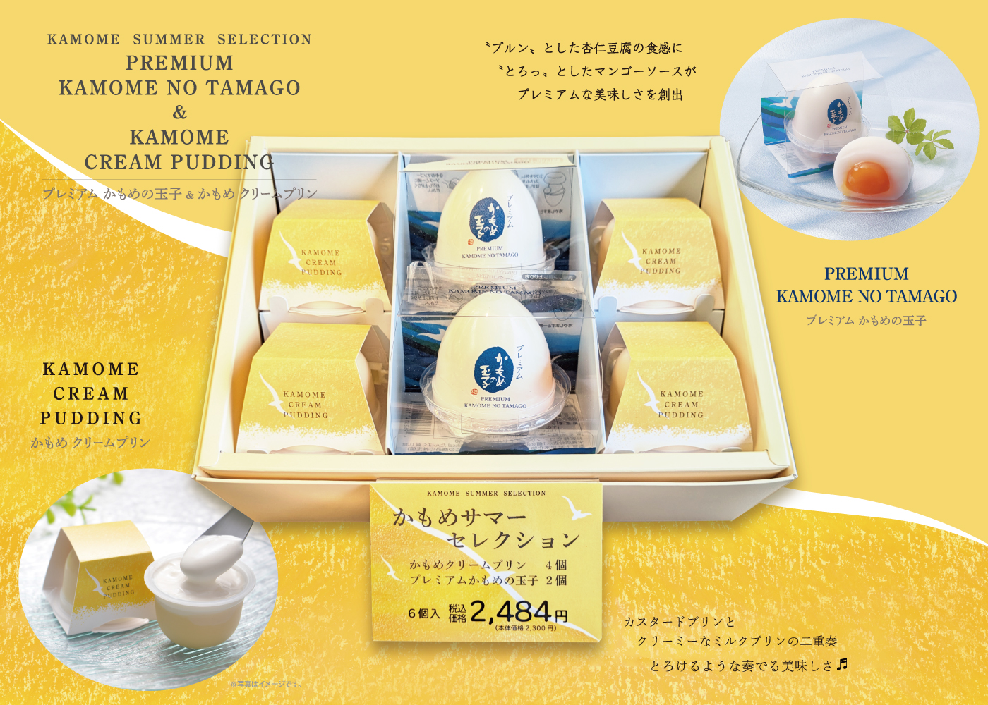 サマーギフト】New『かもめサマーセレクション』がおすすめ